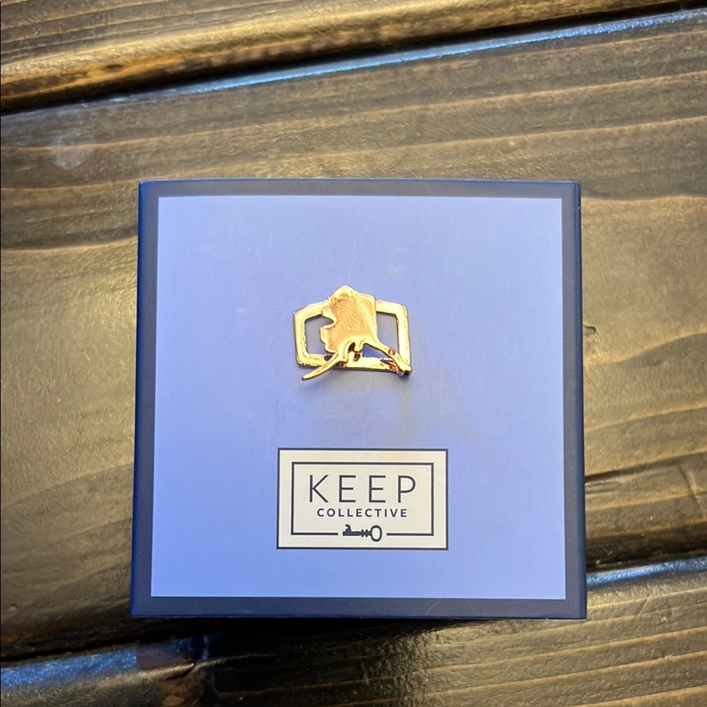 KEEP Collective Gold Alaska Charm